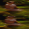 Naked girls from Estacada